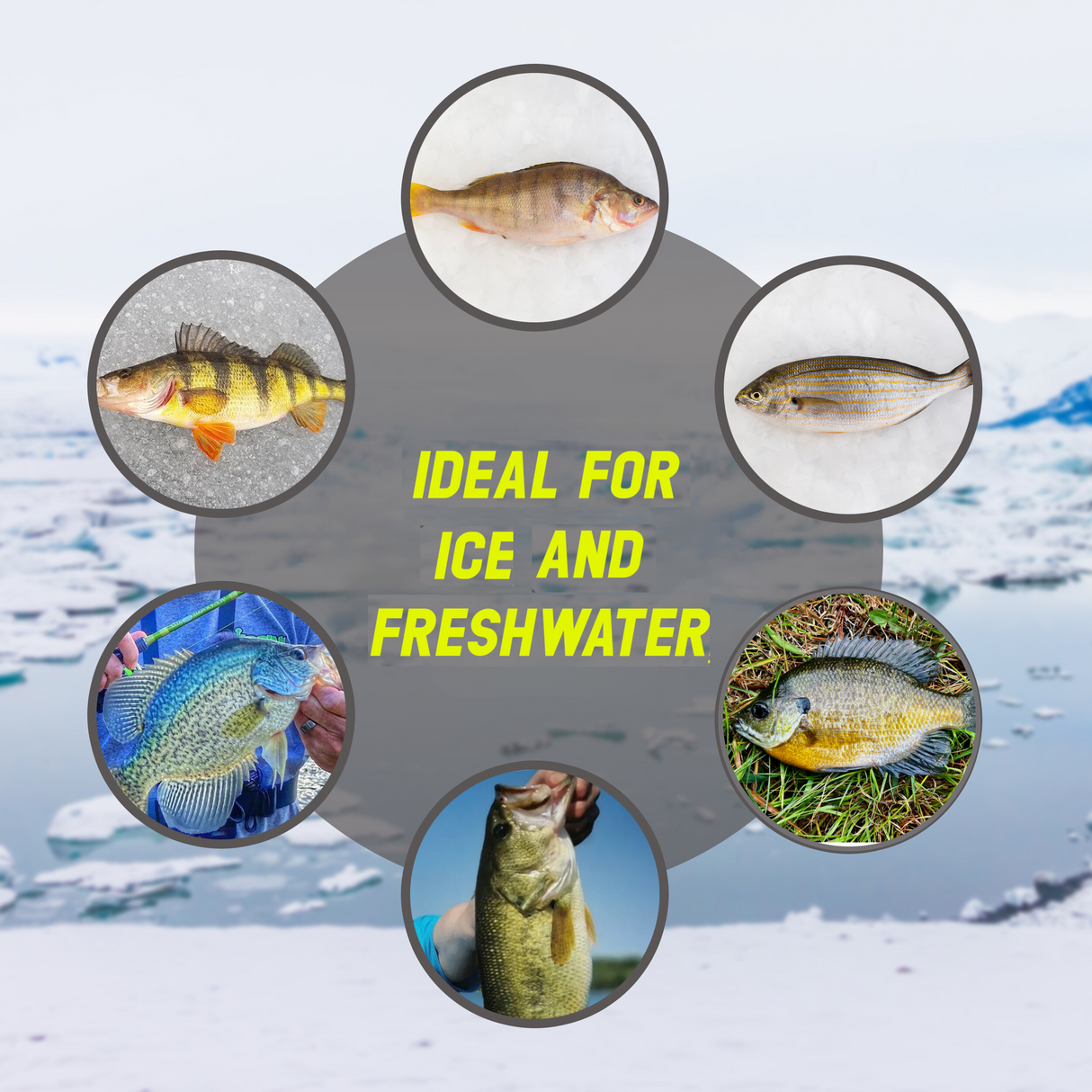 Reaction Tackle Ice Fishing Jigs-NEW sizes available! - Reaction Tackle