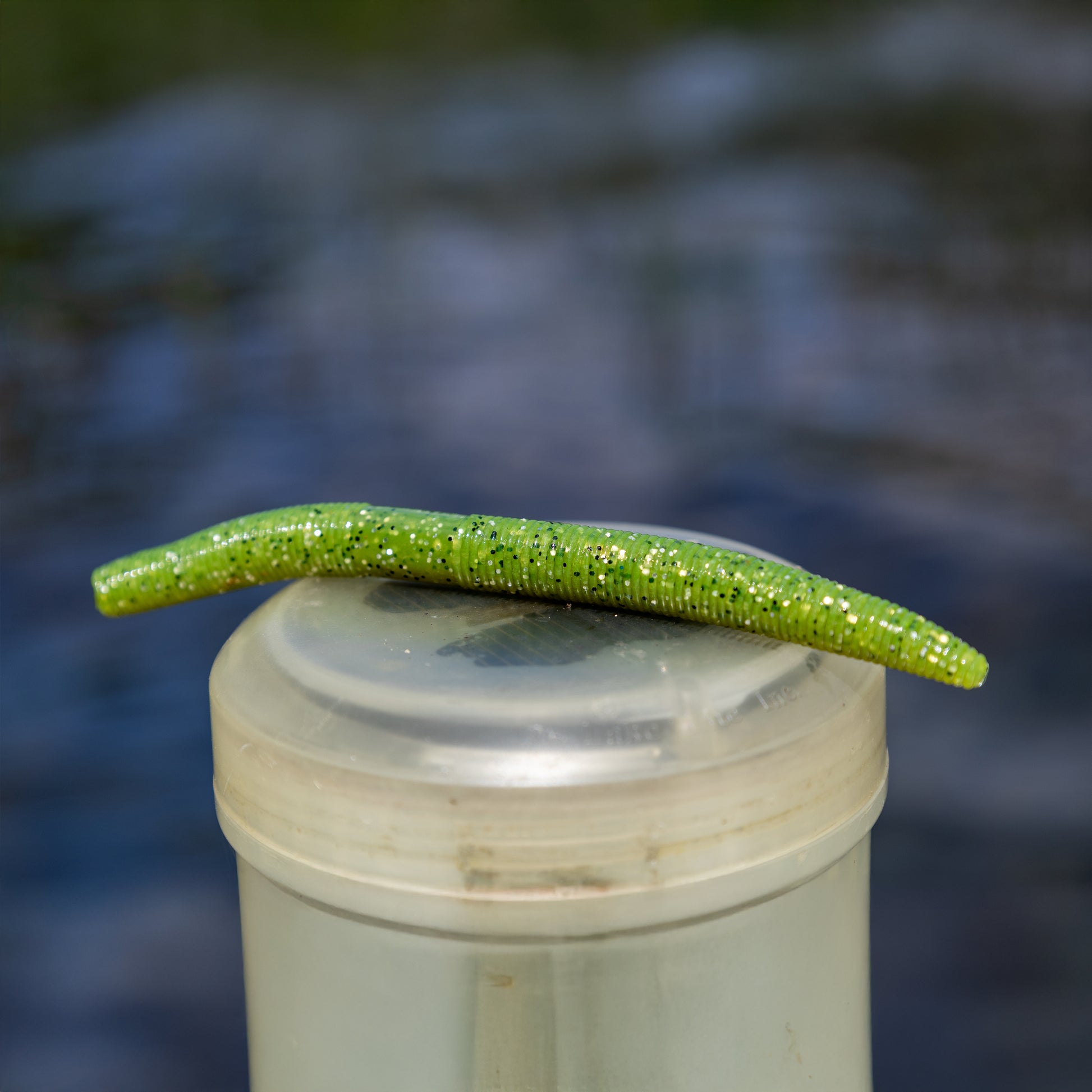 Reaction Tackle Soft Plastic Wacky Worms 5.5in - 24 Pack - Reaction Tackle