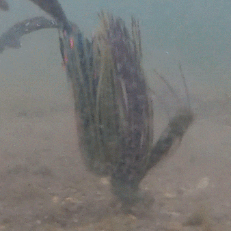 Reaction Tackle Lead Flipping Jigs- 3-PACK - New - Reaction Tackle