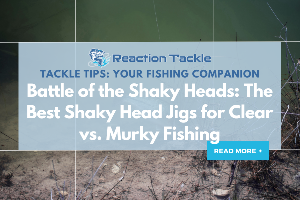 Battle of the Shaky Heads: The Best Shaky Head Jigs for Clear vs. Murky Fishing