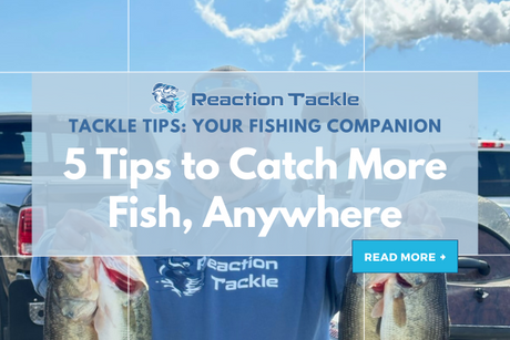5 Tips to Catch More Fish, Anywhere
