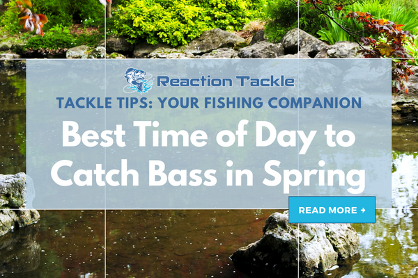 Best Time of Day to Catch Bass in Spring