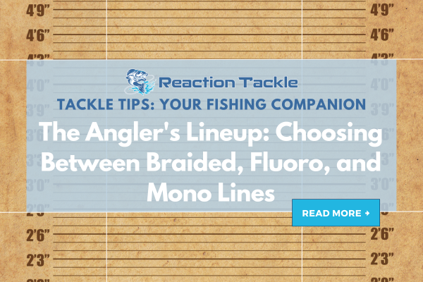 braided fishing line size compared to mono Monofilament 547yds 13 lb.-396 lb. Nylon Fishing Lines The Angler's Lineup: Choosing Between