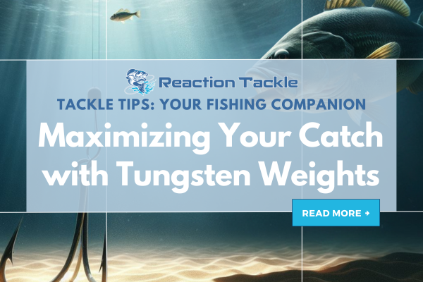 Maximizing Your Catch with Tungsten Weights: Why They're a Game-Changer ...