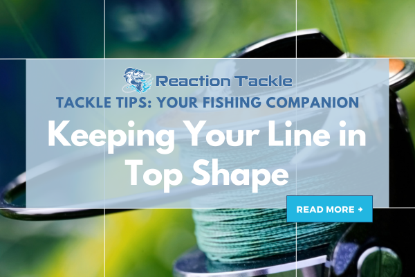 fishing with braided line tips FINS Catfish 8-Strand, Green, 30 Pounds, 100 Yards What's The DEAL With BRAID