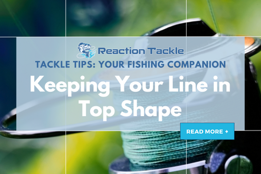 Maintenance Tips for Braided Fishing Line: Keeping Your Line in Top Shape