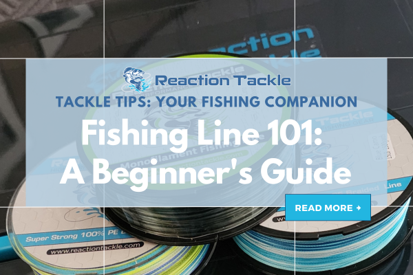 Fishing Line 101: A Beginner's Guide to Getting Started