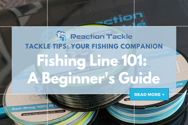Fishing Line 101: A Beginner's Guide to Getting Started Reaction Tackle Fishing Line 101: A Beginner's Guide to Getting Started Reaction Tackle