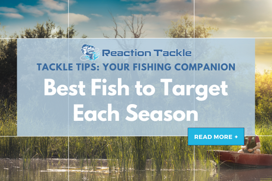 Seasonal Fishing Tips: Best Fish to Target Year-Round