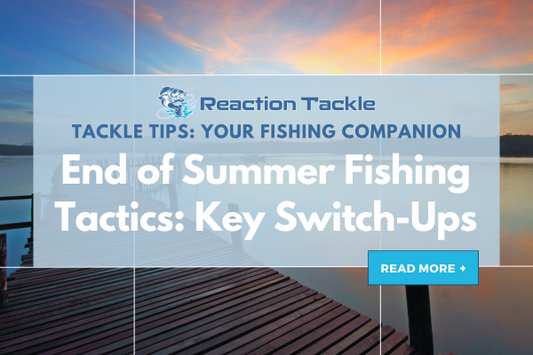 End of Summer Fishing Tactics: Key Switch-Ups for Success