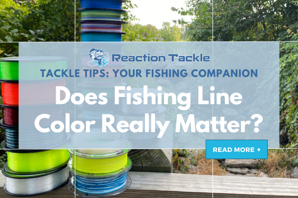 Does Fishing Line Color Really Matter?