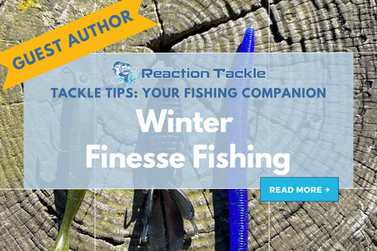 Winter Finesse Fishing