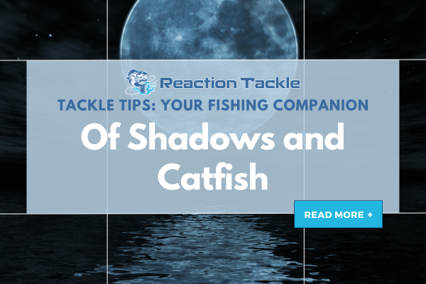 Of Shadows and Catfish