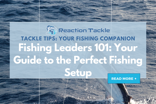 Fishing Leaders 101: Your Guide to the Perfect Fishing Setup