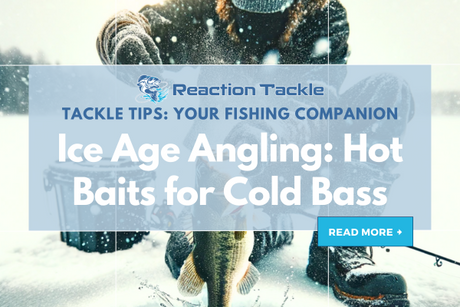 Ice Age Angling: Hot Baits for Cold Bass