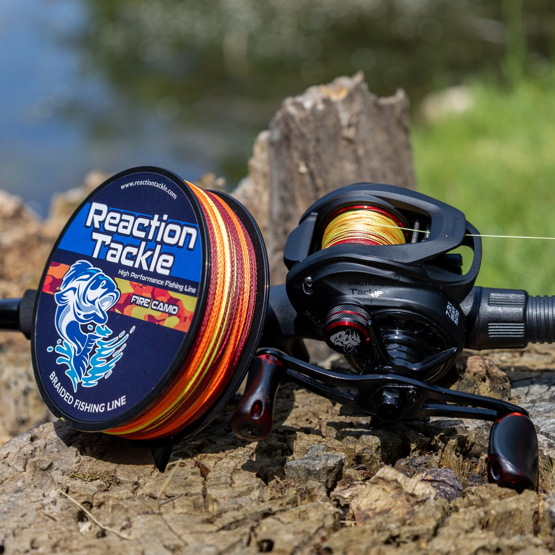 best fishing line for spin casting reels SPINCAST REEl:Spincast Reel with 6+1 BB,CNC Body J50(Blue) free fishing every time. Fishing Line Best Spinning Reels