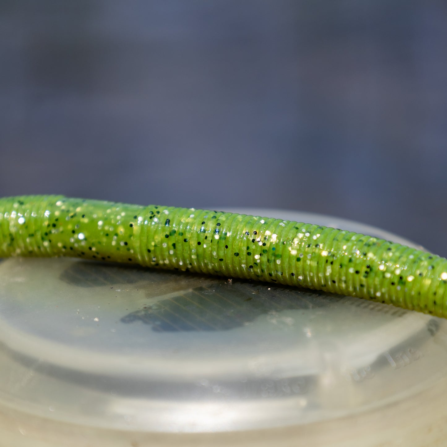 Reaction Tackle Soft Plastic Wacky Worms 5.5in - 24 Pack - Reaction Tackle