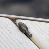 Reaction Tackle Punch Weights/ Tungsten Sinkers - Reaction Tackle