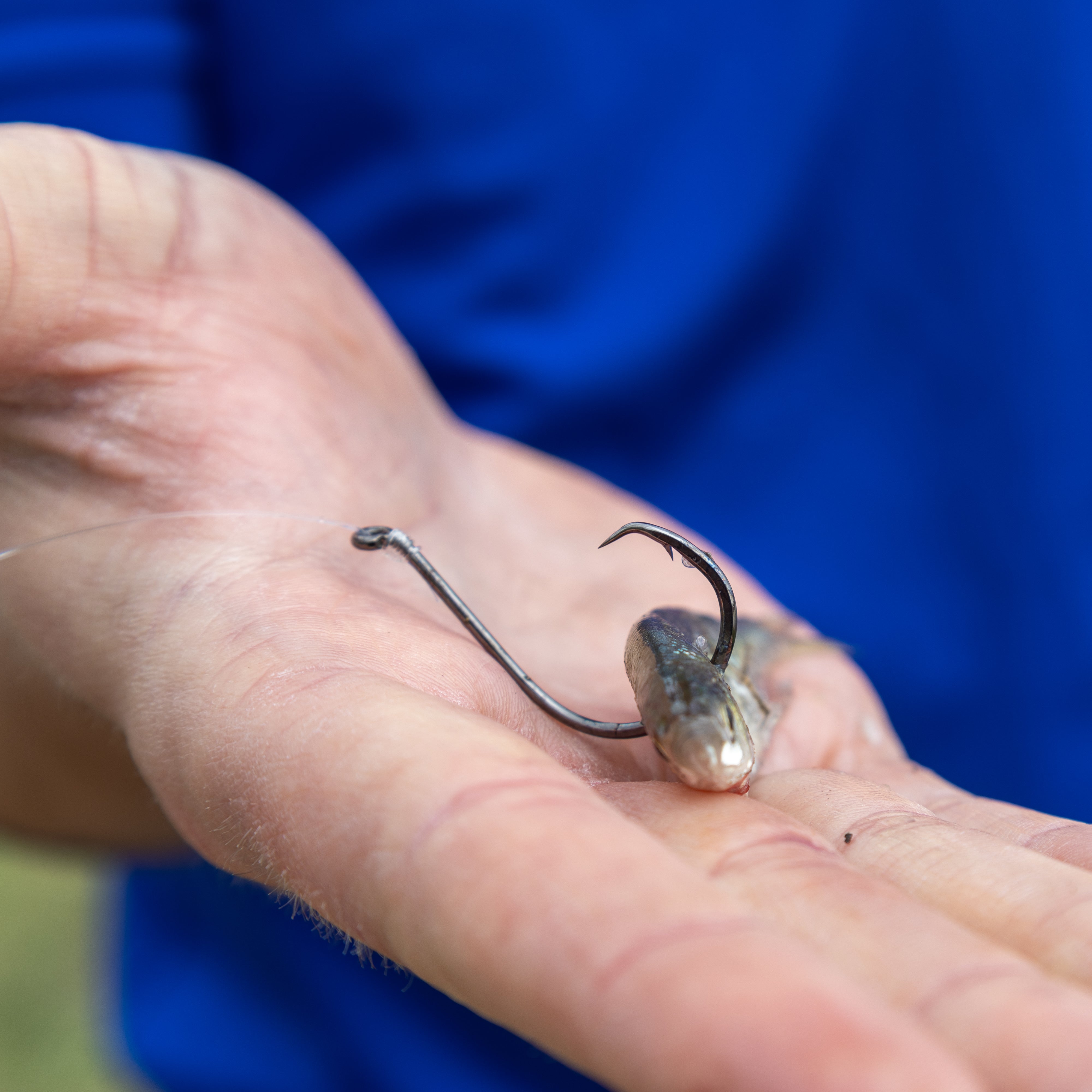 Reaction Tackle Heavyweight Catfish Circle Hooks - Offset Octopus Hooks (25 Pack) - New - Reaction Tackle
