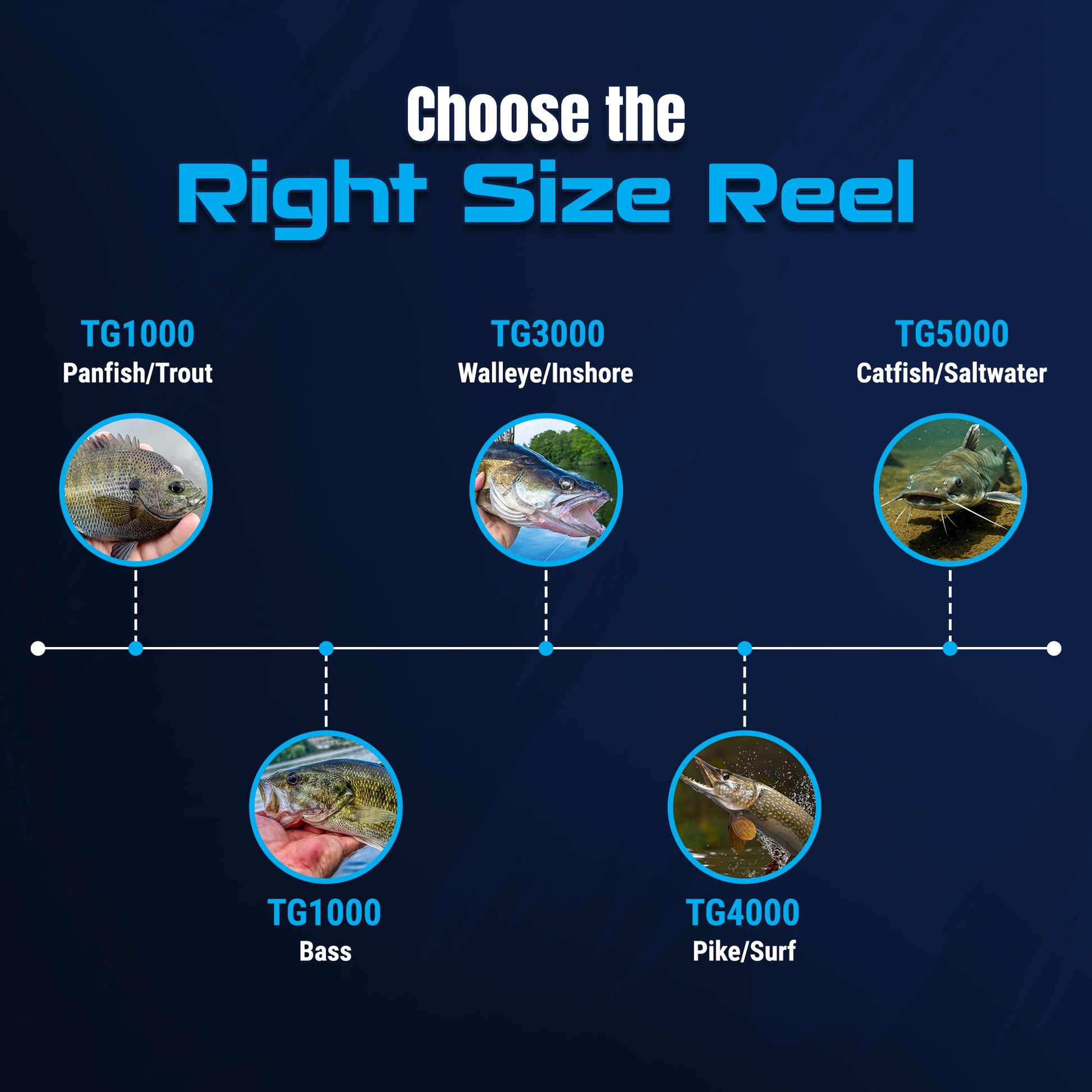 Reaction Tackle High-Performance Fishing Reels- Spinning Reel Series - NEW - Reaction Tackle