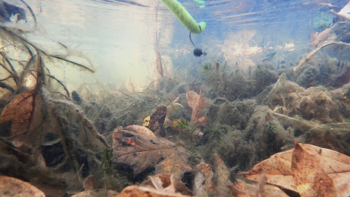 Reaction Tackle Lead Wacky Jigs- 10-PACK- Ultra Sharp