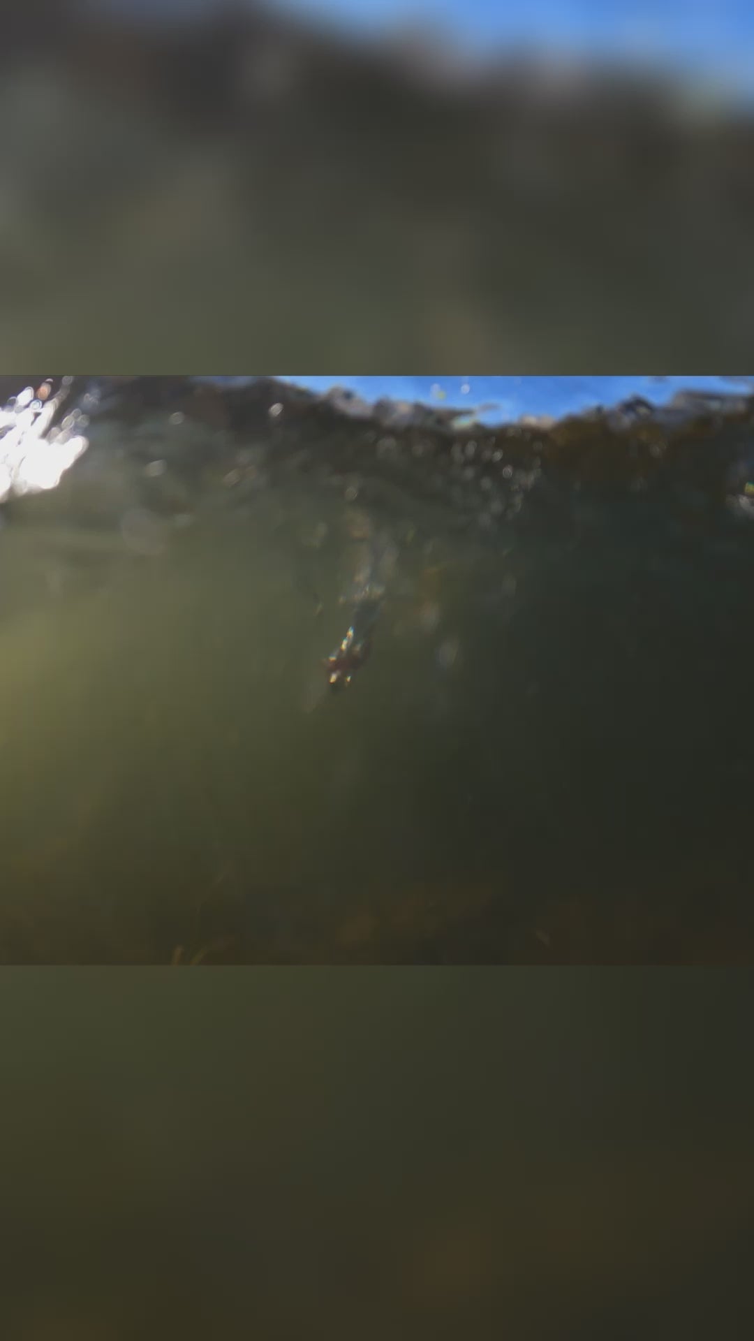 Reaction Tackle 100% Pure Fluorocarbon Fishing Line