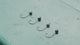 Reaction Tackle Tungsten Wacky Jig Heads (5-PACK)