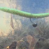 Reaction Tackle Lead Wacky Jigs- 10-PACK- Ultra Sharp - New - Reaction Tackle